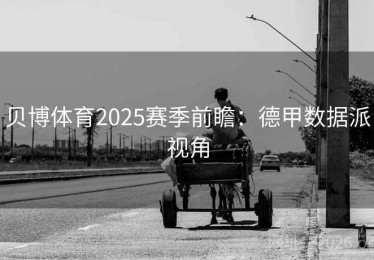 贝博体育2025赛季前瞻：德甲数据派视角