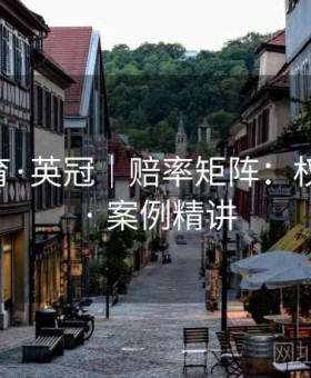 开元体育·英冠｜赔率矩阵：权威解析 · 案例精讲