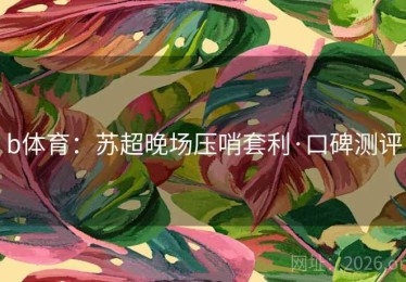 b体育：苏超晚场压哨套利·口碑测评