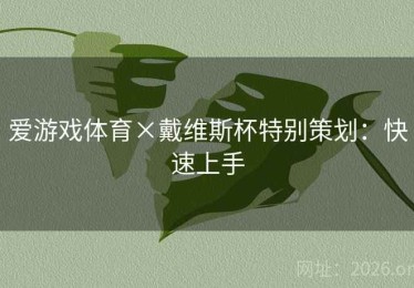 爱游戏体育×戴维斯杯特别策划：快速上手