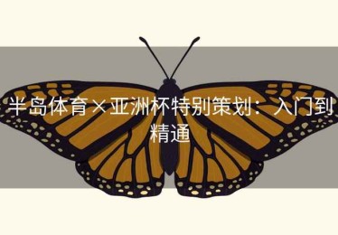 半岛体育×亚洲杯特别策划：入门到精通