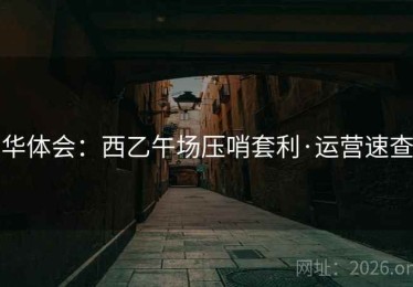 华体会：西乙午场压哨套利·运营速查