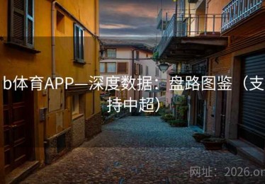 b体育APP—深度数据：盘路图鉴（支持中超）