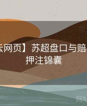 【开云网页】苏超盘口与赔率深解：押注锦囊