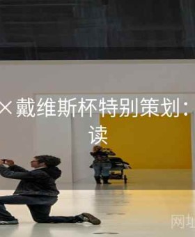 金年会×戴维斯杯特别策划：观赛必读