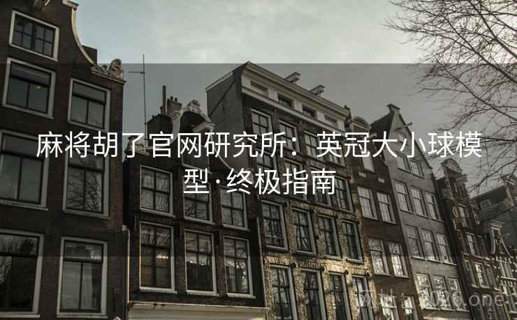 麻将胡了官网研究所：英冠大小球模型·终极指南