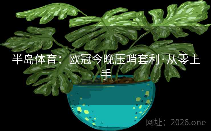 半岛体育：欧冠今晚压哨套利·从零上手